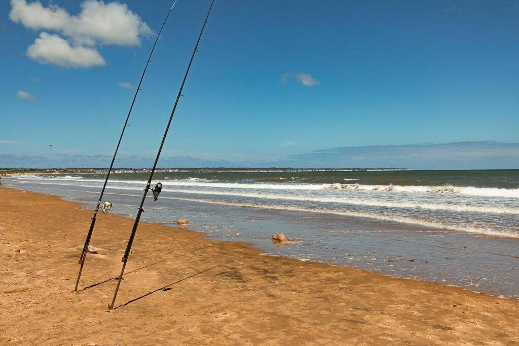 Beachfront Apartment - Ground Floor Apartment With Sea Views, Next To The Beach, Bridlington, North Yorkshire Bessingby Eksteriør billede